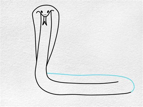 How To Draw A King Cobra Helloartsy