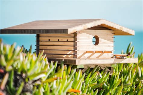 Architecturally Inspired Mid Century Modern Style Bird Houses