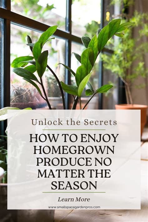 What Vegetables Can I Grow Indoors Year Round Master The Art Of Indoor