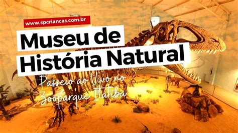 MUSEU DE HISTÓRIA NATURAL DO ZOOPARQUE ITATIBA SP PARA CRIANÇAS FAZ