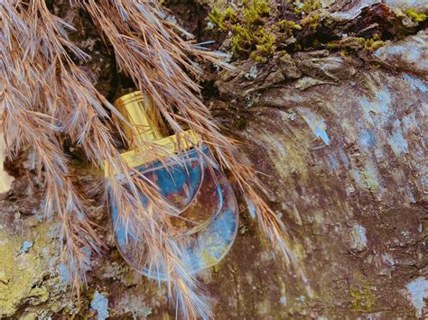 Nomade Jasmin Naturel Intense Chloé parfum een nieuwe geur voor dames