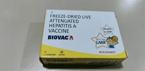 Freeze Dried Live Attenuated Hepatitis A Vaccine Wockhardt 0 5ml At