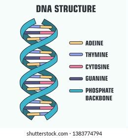 Vector Scientific Icon Spiral Dna Rna Stock Vector Royalty Free