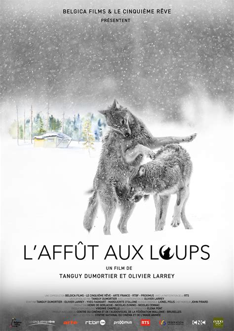 Avant Premi Re L Aff T Aux Loups D Olivier Larrey Et Tanguy Dumortier