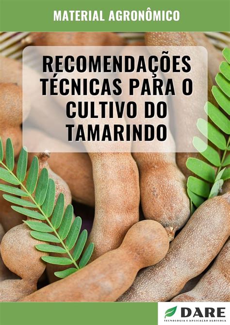 Recomenda Es T Cnicas Para O Cultivo Do Tamarindo Portuguese Edition