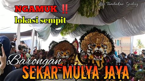 Barongan Sekar Mulya Jaya Ngamuk Di Desa Tambakan Gubug YouTube