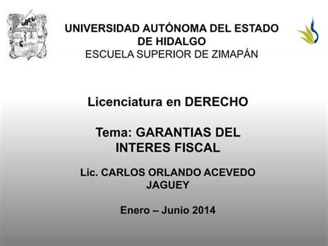 Garantias Del Interes Fiscalpptx