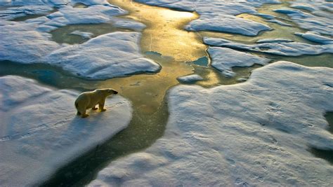 Klimawandel Forscher Prognostizieren St Rkere Erderw Rmung Der Spiegel