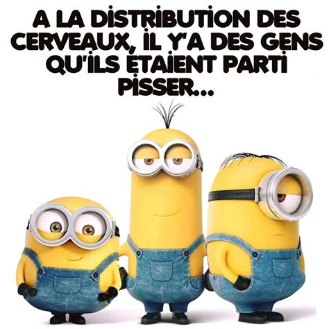 Pin by gerard Ménard on minion Minions funny Minions Minions quotes