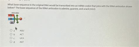 Solved What Base Sequence In The Original Dna Would Be Transcribed