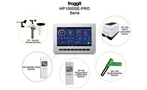 Froggit Hp Se Pro Single Sensor Edition Hp Se Pro Display Inkl