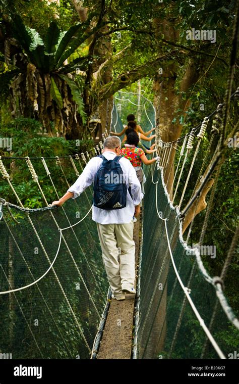 Sabah Malaysia Borneo Kinabalu National Park Tourists Walking The