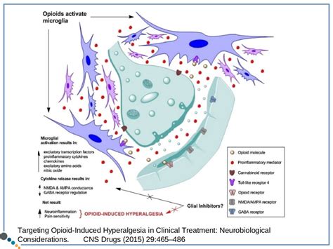 Opioid Hyperalgesia