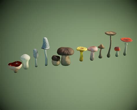 Mushroom Pack 3d Model By Yuribarinov