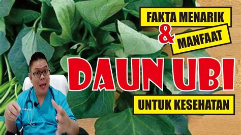 Fakta Menarik Serta Manfaat Daun Ubi Untuk Kesehatan Dan Cara