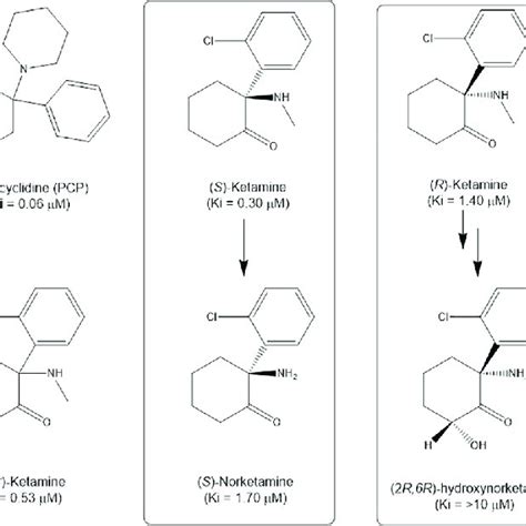 Pdf Molecular Mechanisms Of The Rapid Acting And Long Lasting