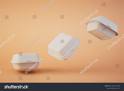 Takeaway Food Disposable Plastic Food Containers Stock Illustration