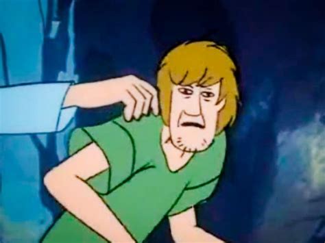 Shaggy Meme Scooby Doo Memes Shaggy And Scooby Scooby Doo Mystery