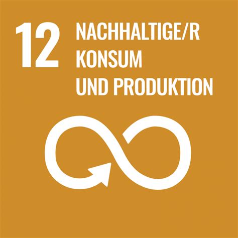 Stadt Regensburg Agenda 2030 SDG 12 Nachhaltige R Konsum Und