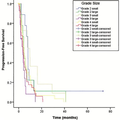 Progression Free Survival By Tumor Grade And Size After Gksrs Used