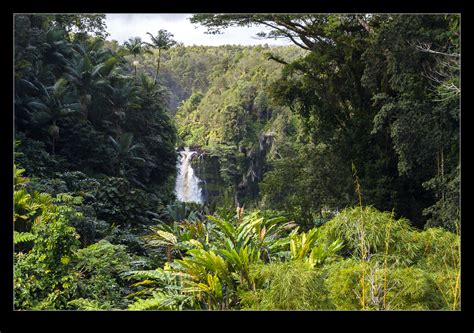 Akaka Falls | RobsBlogs