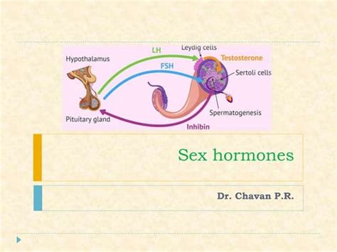 Distribution Of Drugs Pharmacology Ppt