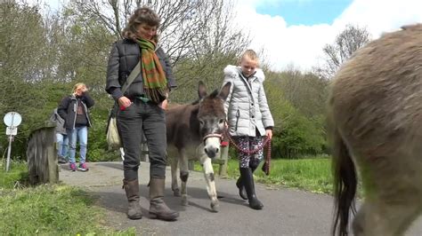 Complete Film Bewegen In Het Groen Polderpark Cronesteyn Leiden Youtube