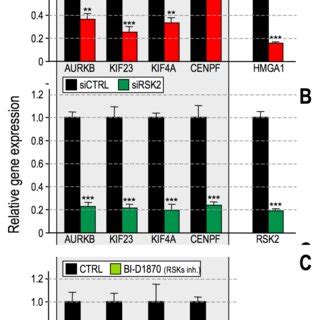 High Mobility Group A Hmga And Ribosomal Protein S Kinase Alpha