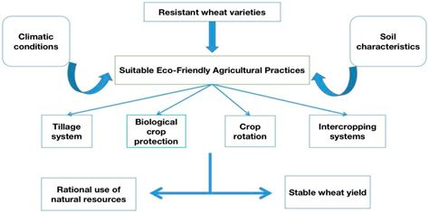 Agronomy Free Full Text Contribution Of Eco Friendly Agricultural