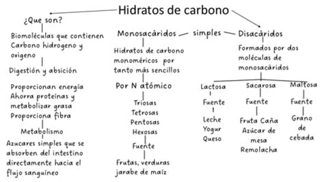 Hidratos De Carbono Pdf