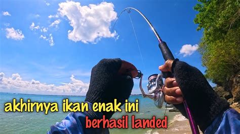 Setelah Sekian Lama Mendambakan Strike Ikan Ini Akhirnya Dispot Ini