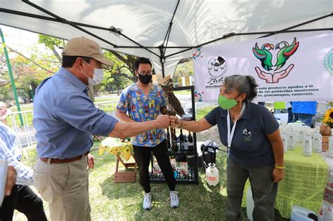 Chiapas Birding And Photo Festival Promueve El Aviturismo Y La Riqueza