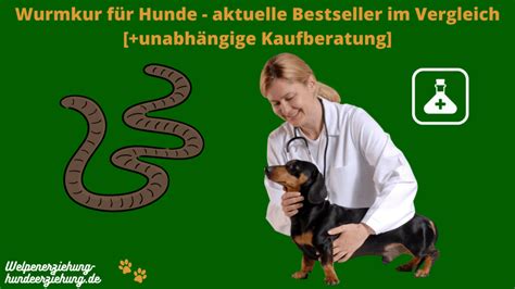 Wurmkur für Hunde Test 2025 besten 5 Testsieger im Vergleich