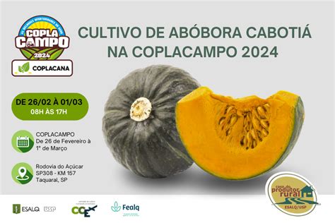 Casa Do Produtor Rural Discutir T Cnicas De Cultivo Da Ab Bora Caboti