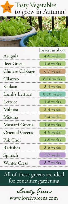 Yield Chart Vegetable Harvest Yield Chart Note There Are Any Number Of Variables That May