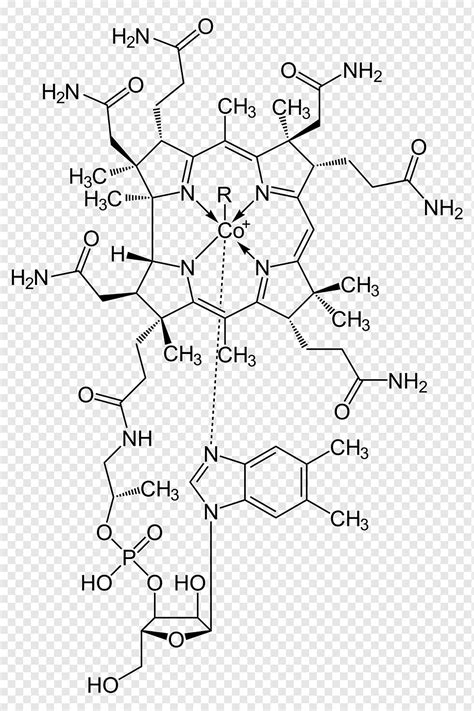 Vitamin B-12 Nutrisi Cyanocobalamin, vitamin, sudut, putih, teks png ...