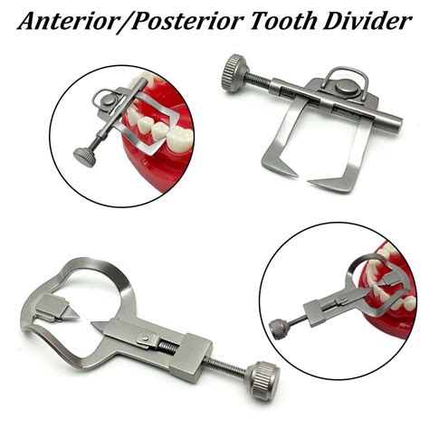 Dental Tooth Separator Anteriorposterior Tooth Stainless Steel Divider