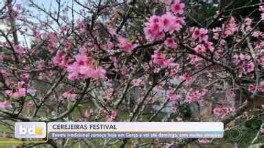 Bom Dia Cidade Bauru Garça recebe o Cerejeiras Festival a partir