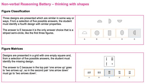 Cognitive Abilities Test Cat Rise Smart Overseas