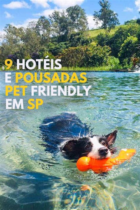 Hotel Pet Friendly Perto De Sp - TOP 17 pousadas e hotéis pet friendly perto de São Paulo | Pet friendly ...