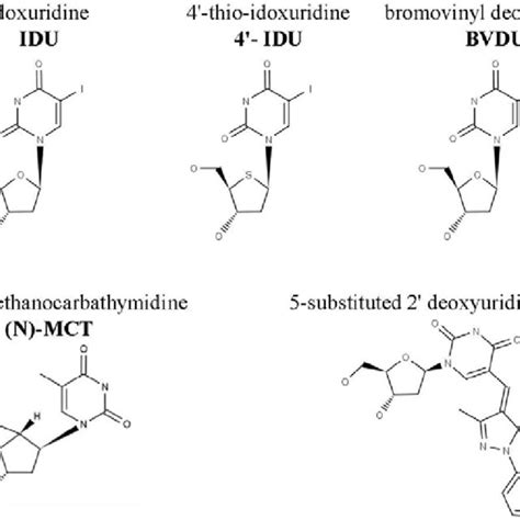 Brdu Is Incorporated Into Viral Dna Within Virus Factories A Cells