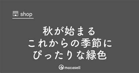 秋が始まるこれからの季節にぴったりな緑色｜macasell公式｜マカセル公式