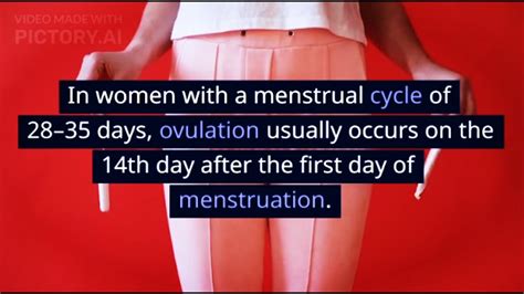 Having Sex During Menstruation Can Still Get Pregnant This Is The