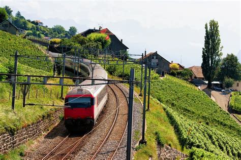 Running Train at Lavaux Vineyard Terraces Hiking Trail Switzerland ...