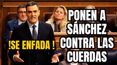 Desvelan La Implicacion De La Fiscalia Y Sanchez Ocultando El Caso