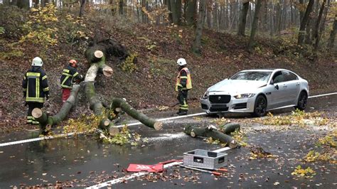 Pfungstadt Darmstadt Baum Kracht Auf Fahrendes Auto Fahrer Berlebt