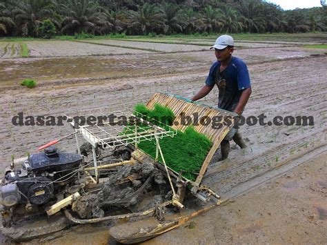 Menanam Padi Dengan Mesin Modern Sangat Menguntungkan Petani Dasar