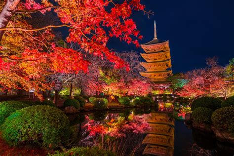 【2024年版】京都市の紅葉スポット30選！散り紅葉・絶景・ライトアップなど旅行好きな筆者が紹介｜アニーお祝い体験マガジン