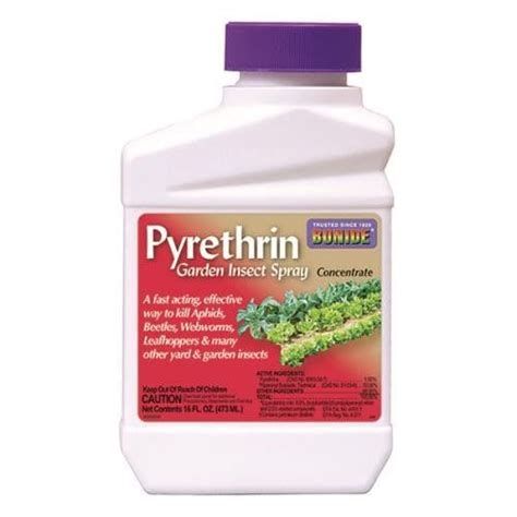 Bonide Pyrethrin Garden Insect Spray Concentrate 1pint You Can Get