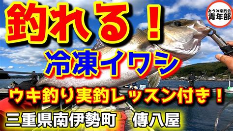 【釣り・海上釣堀】鯛も青物もイワシで釣れる！ウキ釣りの実釣レッスン付き！＃海上釣堀 ＃浮釣り ＃pr ＃がまかつファクトリーモニター ＃傳八屋